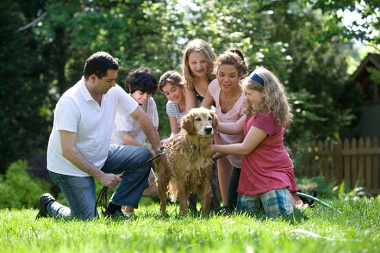 ROLES EN LA FAMILIA: Descubre su Importancia y FUNCIÓN