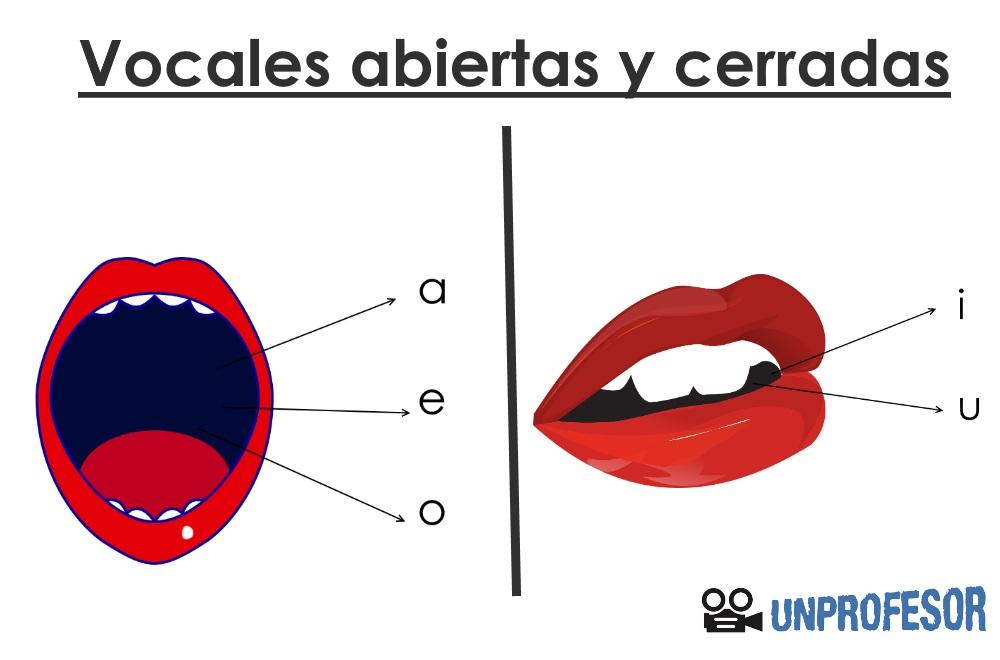 Sabes cuáles son las vocales abiertas y cerradas en español