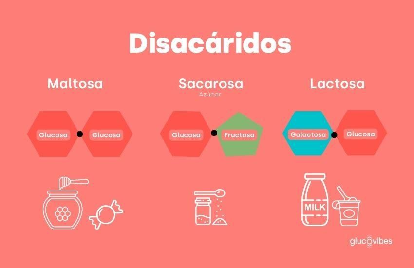 Sabes todo lo esencial sobre los hidratos de carbono