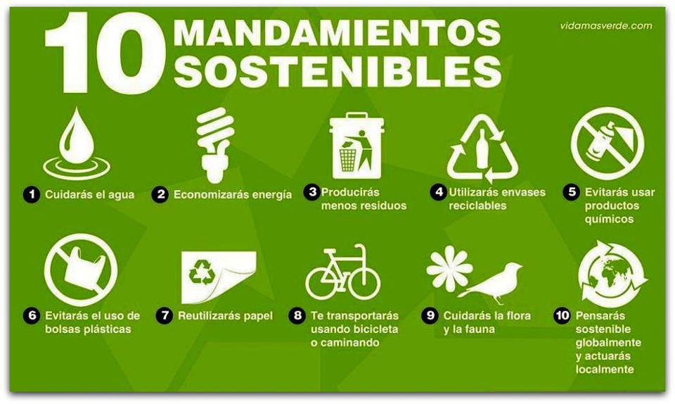Sabías que el VERDE de la naturaleza puede estar en tu CASA
