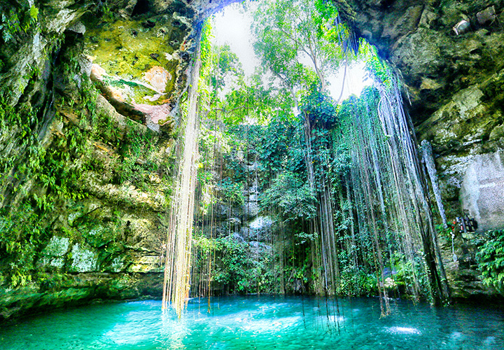Sabías que México cuenta con una increíble biodiversidad