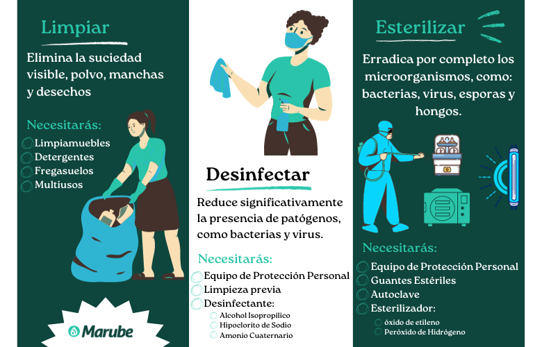 SANITIZAR: Descubre su DEFINICIÓN y CONCEPTO Clave