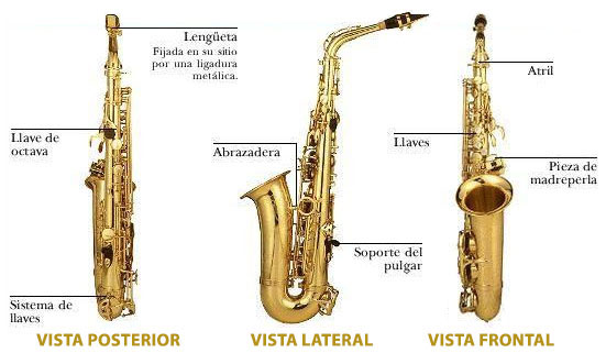 SAXOFÓN: DEFINICIÓN, CARACTERÍSTICAS y CLASIFICACIÓN