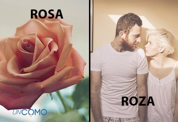Se escribe correctamente ROZA o ROSA Descubre la respuesta aquí