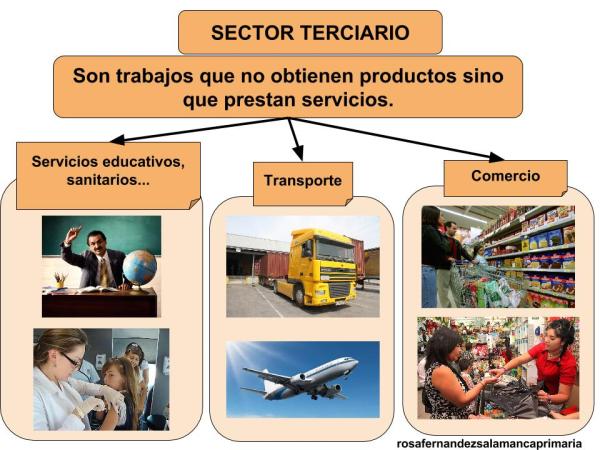 SECTOR TERCIARIO: Conceptos y Ejemplos IMPACTANTES