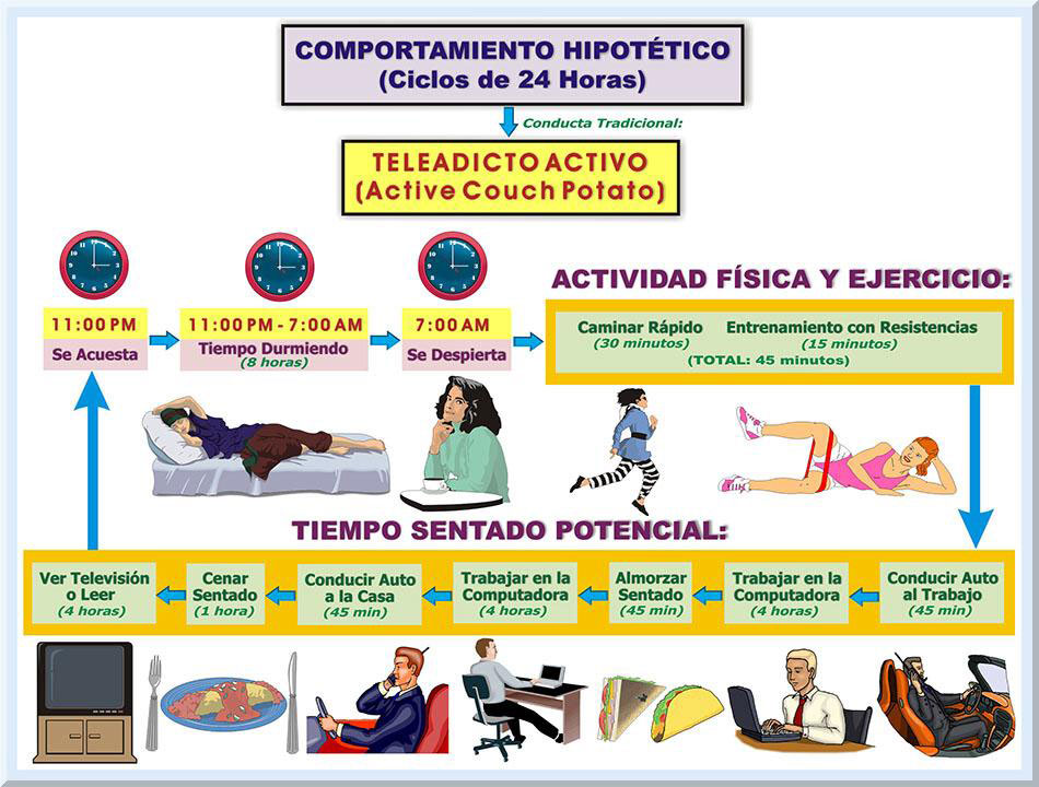 SEDENTARISMO: TIPOS y DEFINICIÓN que Debes Conocer