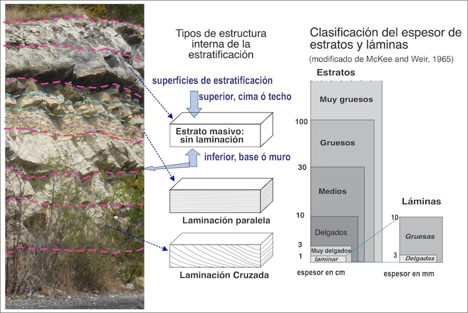 SEDIMENTACIÓN: SIGNIFICADO, TIPOS Y CONCEPTO CLAVE
