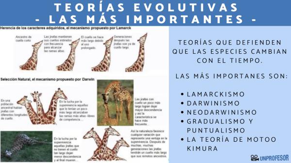 SELECCIÓN NATURAL: DESCUBRE SUS TIPOS Y PRINCIPIOS