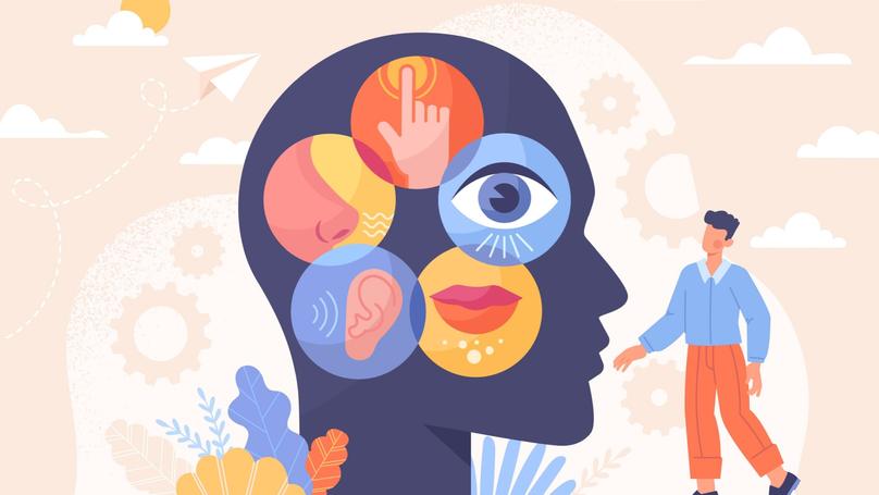 SENSIBILIDAD: Qué es, Significados y Su FUNCIÓN en el ARTE