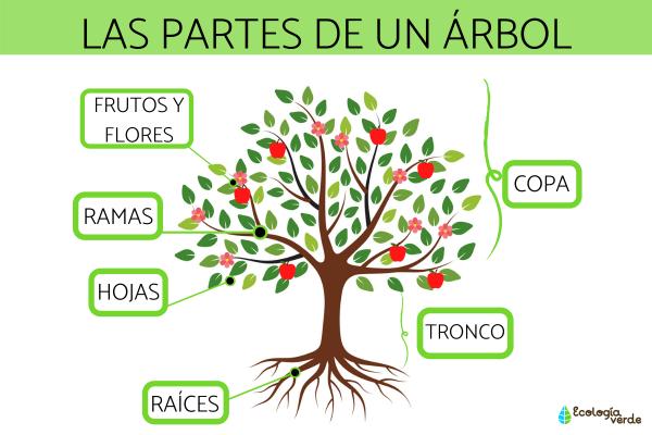 SIGNIFICADO de ALBURA: Descubre su DEFINICIÓN y USO