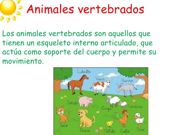 SIGNIFICADO de VERTEBRADOS: Qué SON y su DEFINICIÓN