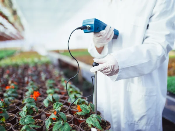 SIGNIFICADO de VIVERO: Qué es un VIVERO Descúbrelo