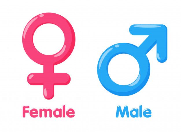 Símbolos FEMENINO y MASCULINO: ¡Descubre su SIGNIFICADO!