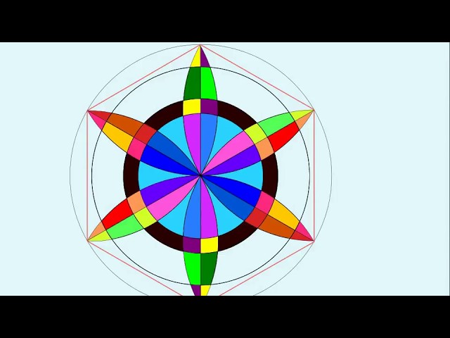 SIMETRÍA RADIAL: DEFINICIÓN, CARACTERÍSTICAS Y MÁS