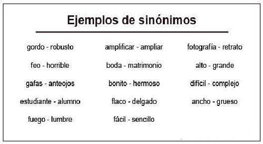 SINÓNIMOS TOTALES Y PARCIALES: 50 ORACIONES ÚTILES