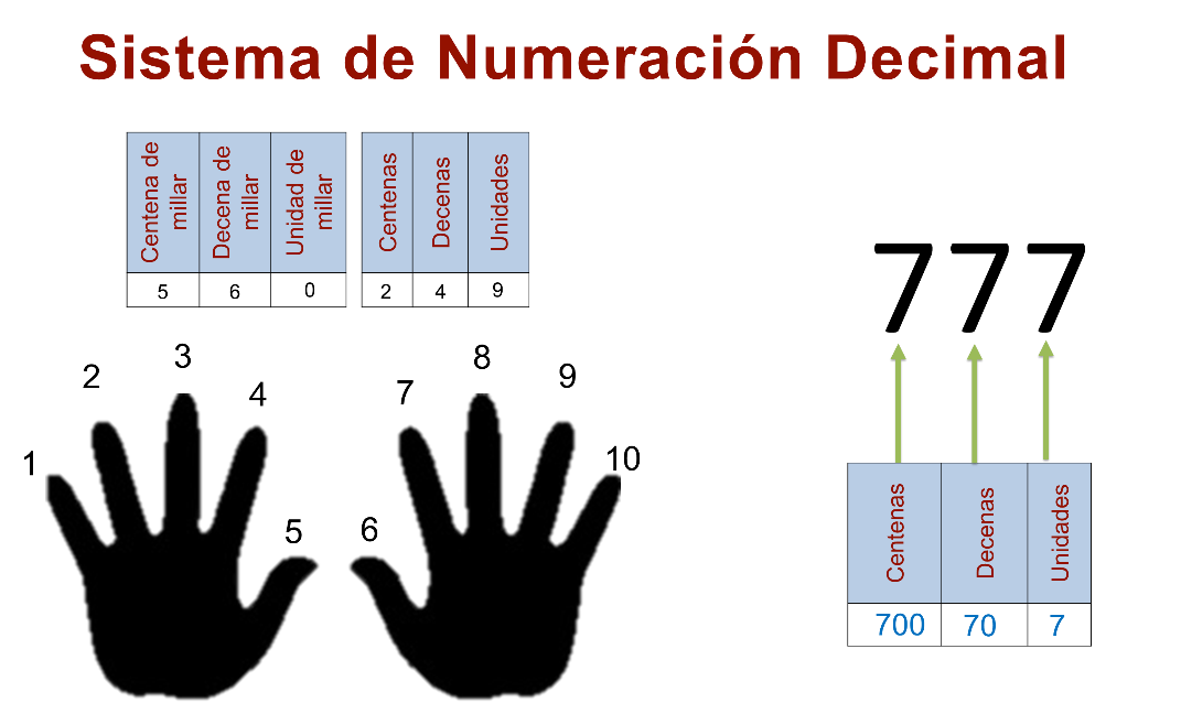 SISTEMA VIGESIMAL: Qué es y qué ofrece la NUEVA ESCUELA