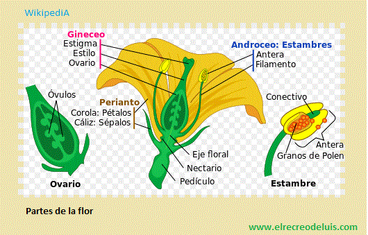 SISTEMICO: Definición CLARA y SENCILLA que IMPRESIONA