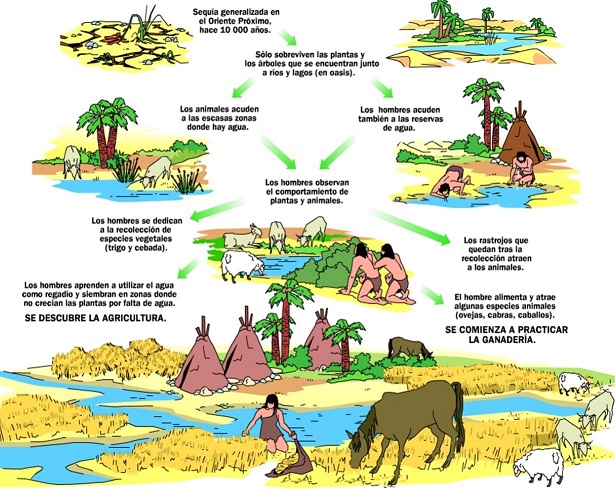 SOCIEDAD DEL NEOLÍTICO: Evolución del HUMANO en SOCIEDAD