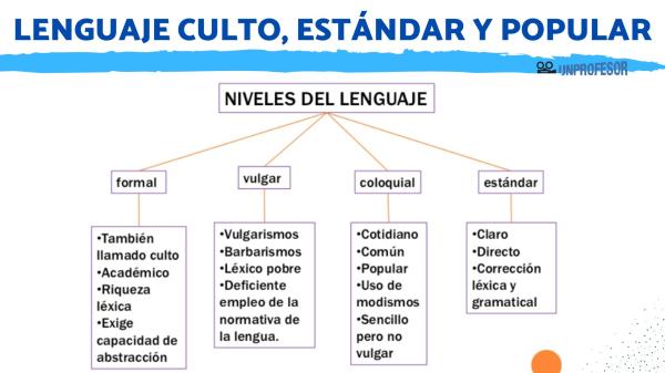 SOCIOLECTO: DEFINICIÓN, EJEMPLOS y MÁS DESCUBRE AQUÍ