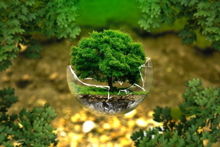 SOLUCIONES INNOVADORAS PARA REDUCIR la CONTAMINACIÓN