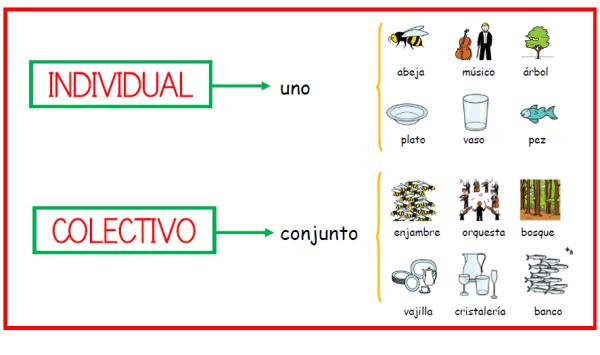 SUSTANTIVOS INDIVIDUALES: 10 Ejemplos CLAROS y ÚTILES