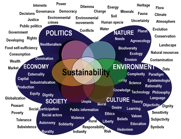 SUSTENTABILIDAD: Conceptos, Tipos y Diferencias Clave