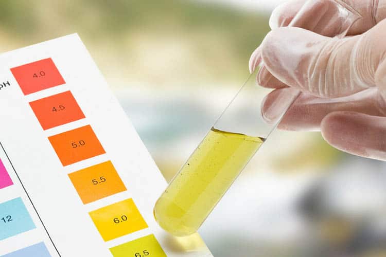 TABLA DE INDICADORES pH: DESCUBRE SU IMPORTANCIA ¡AHORA!
