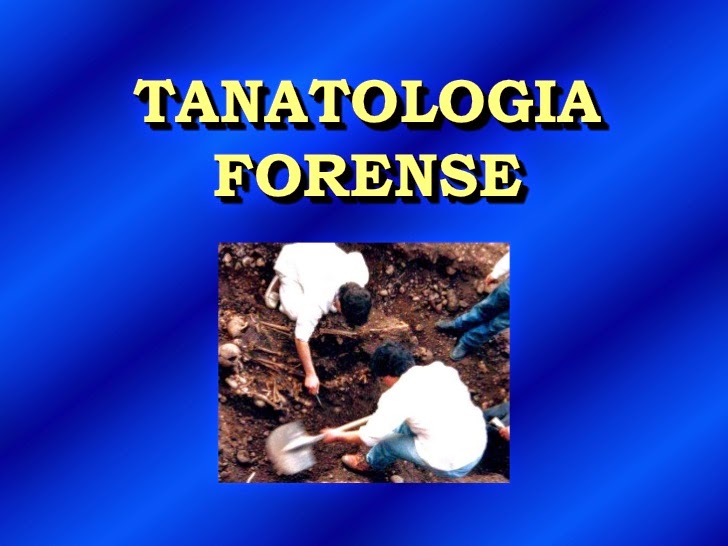 TANATOLOGÍA: Significado y Funciones Clave Reveladas