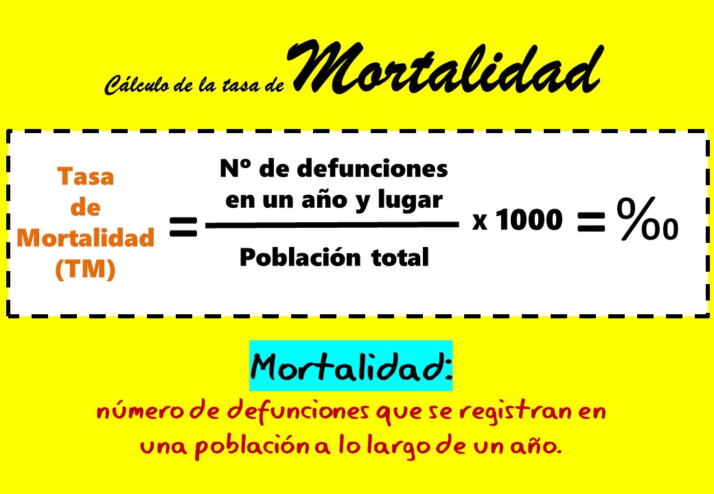 TASA DE NATALIDAD: Qué significa y cómo se CALCULA