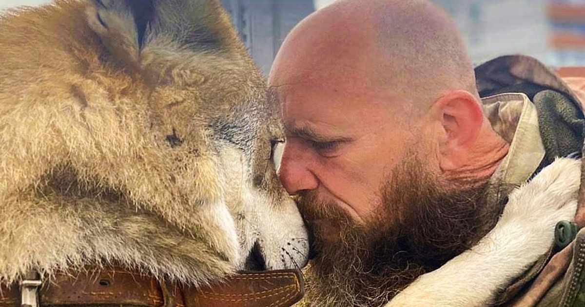 Te atreverías a descubrir 10 impactantes cuentos sobre lobos