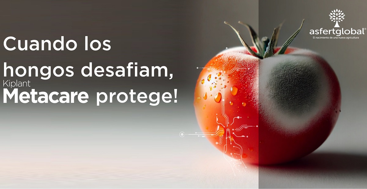 Te atreves a analizar combinaciones únicas de sabores nuevos