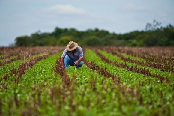 Te gustaría analizar el legado de las primeras sociedades agrícolas