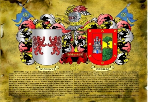 Te gustaría conocer el significado y orígenes de la heráldica