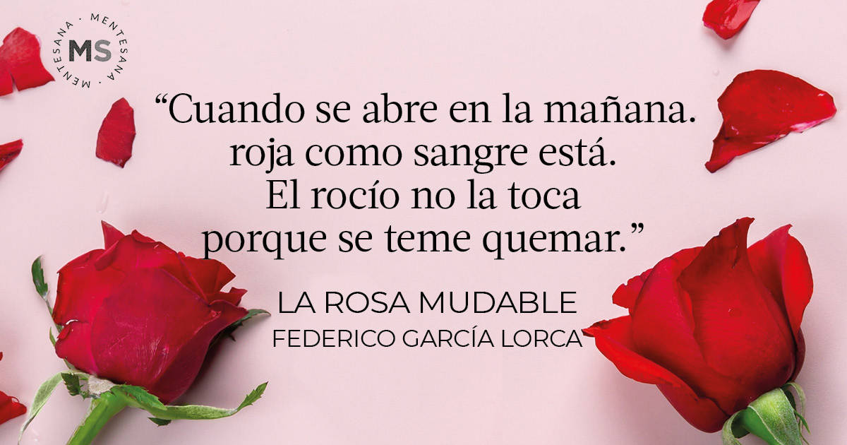 Te gustaría descubrir poemas de amor cortos y encantadores