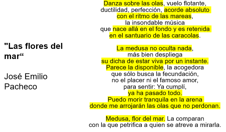 Técnicas para EXPRESAR TEMÁTICAS en POEMAS - Aprende