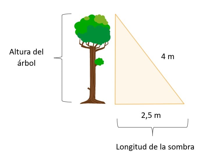 TEOREMA EN MATEMÁTICAS: Descubre su Importancia y EJEMPLOS