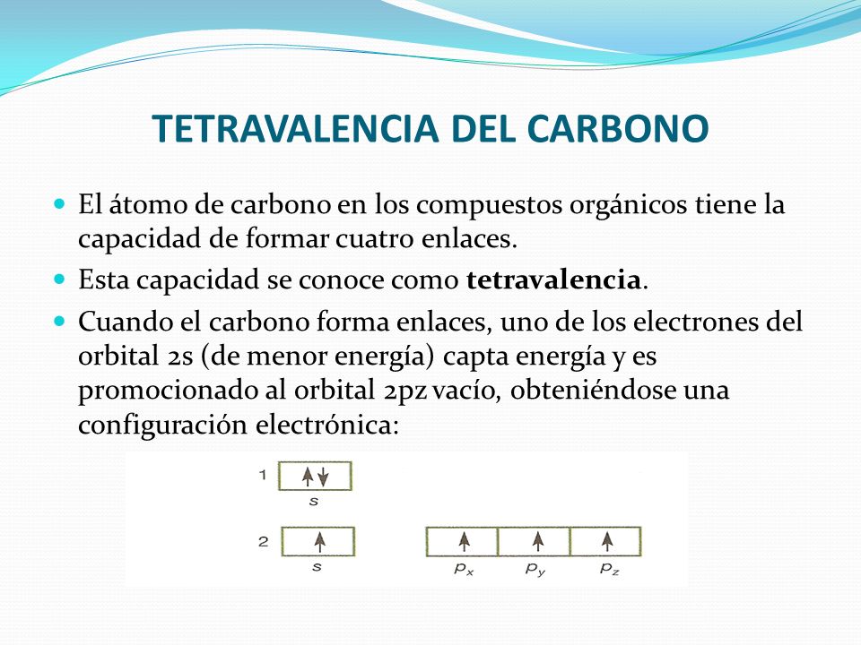 TETRAVALENCIA del CARBONO: Qué es y su IMPORTANCIA