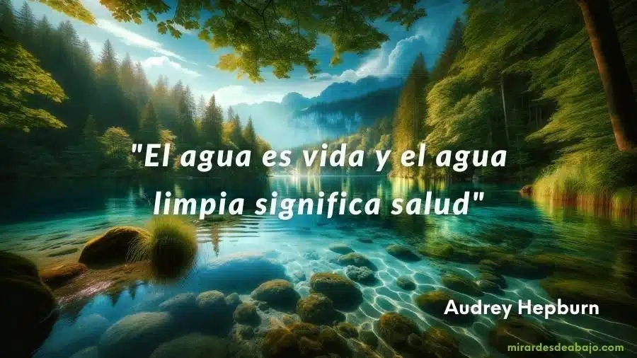 TEXTOS DEL AGUA: DESCUBRE SU IMPORTANCIA EN TU VIDA