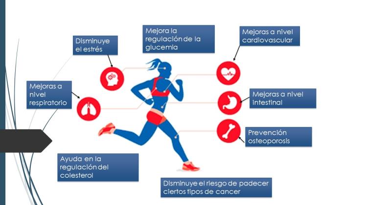 TIPOS DE ACTIVIDADES FÍSICAS: BENEFICIOS ESENCIALES