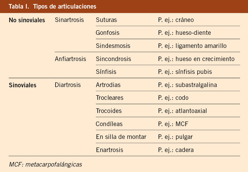 TIPOS DE ARTICULACIONES: Clasificación y Ejemplos Clave