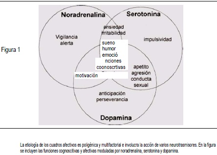 TIPOS DE NEUROTRANSMISORES: 12 EJEMPLOS IMPRESCINDIBLES