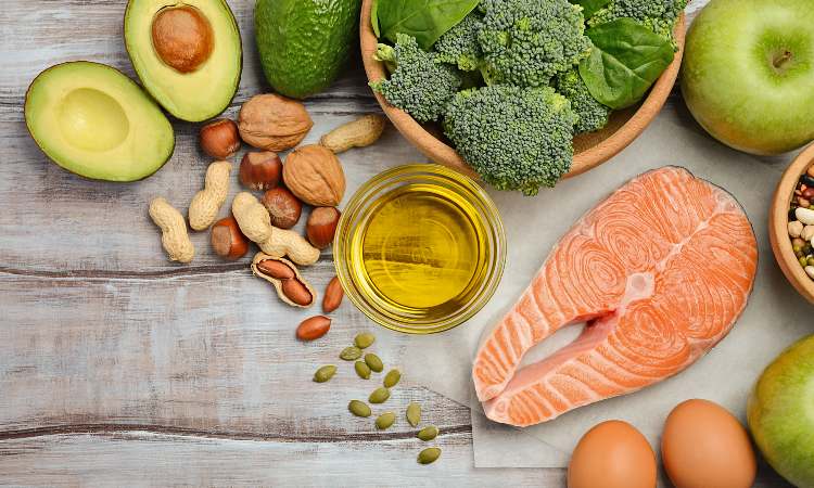 TIPOS DE NUTRICIÓN en los SERES VIVOS: ¡Descúbrelos!