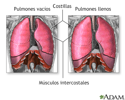 TIRAJES: Definición, IMPORTANCIA y uso en MEDICINA