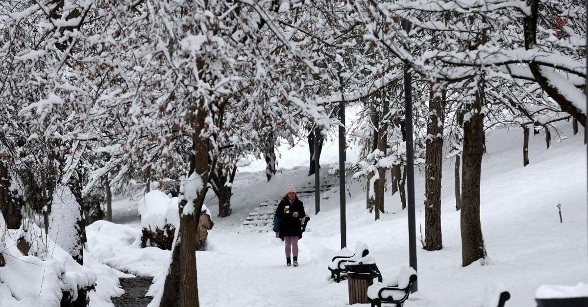 TORMENTA DE NIEVE: DESCUBRE SUS EFECTOS IMPACTANTES