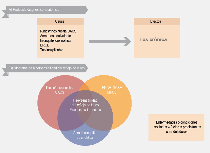 TOSER: DEFINICIÓN, ORIGEN y CLASIFICACIÓN ESENCIAL