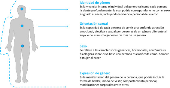 TRANSEXUAL: Concepto, HISTORIA y DISFORIA que debes conocer