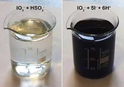 USOS INCREÍBLES del VIDRIO DE RELOJ en LABORATORIO