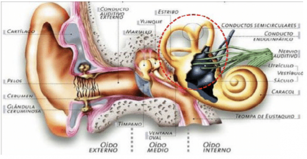 VESTÍBULO: Significado y Definición CLARA y SENCILLA