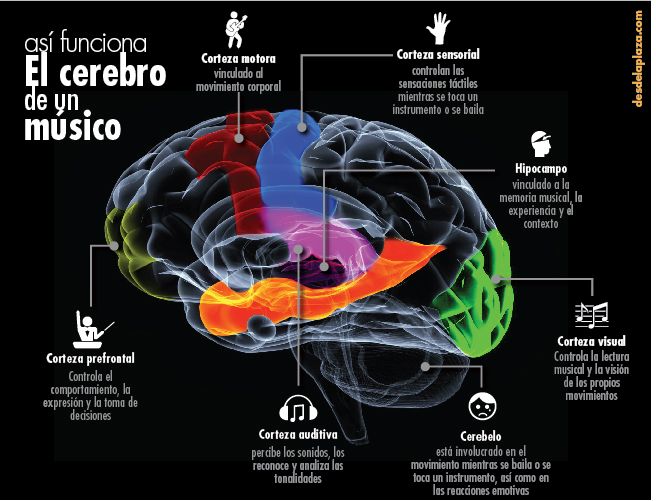 VIBRACIONES y OANDAS: El PODER del SONIDO Desvelado