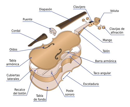 VIOLA: DESCUBRE SU DEFINICIÓN Y TIPOS INSTRUMENTALES